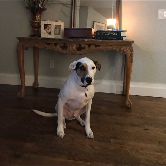 Meet your Posher, Theresa - Picture 2 of 2